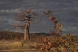 ZIMBABWE - Naďa a David Krkoškovi posílají sedmý dopis